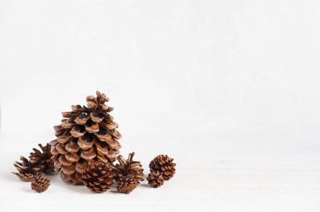 Various pine cones on the white wooden table