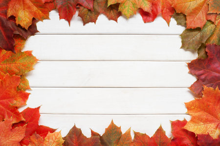 White wooden background with yellow and red leafs of maple