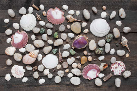 Pattern of sea shells and pebble on the wooden boardsの写真素材