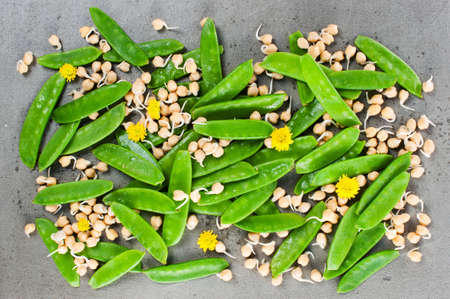 Mix of sweet peas pods and sprouted chickpeas decorated with flowers on the gray tableの写真素材