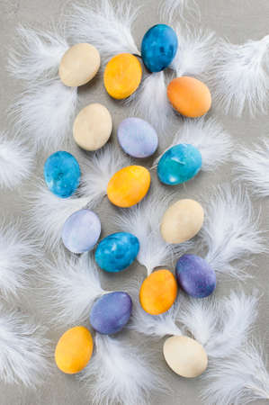 Pattern with colorful Easter eggs and white feathers. Bright colors, top viewの写真素材