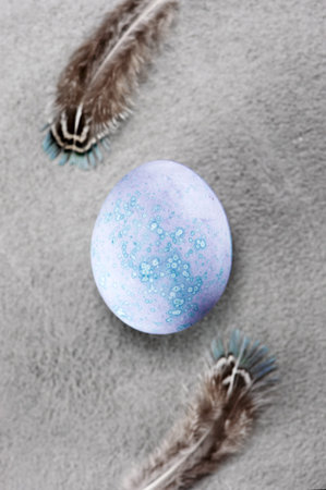 Colored lilac easter egg and two feathers on the textured gray tableの写真素材