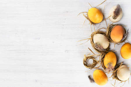 Background with yellow Easter eggs in the small nests on the light wooden table, copy spaceの写真素材