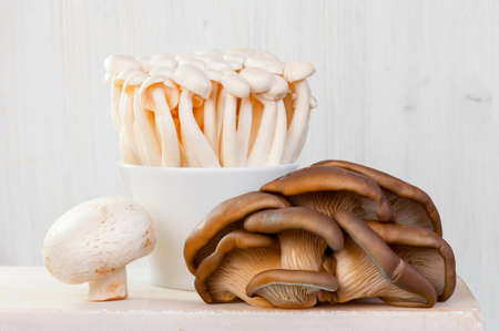 Group of fresh raw honey agarics, oyster mushrooms and champignon on the white table, light composition
の写真素材