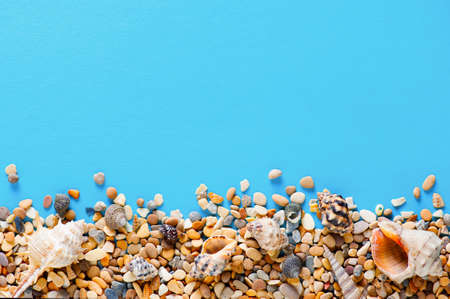 Blue background with pebble and shells, copy spaceの写真素材