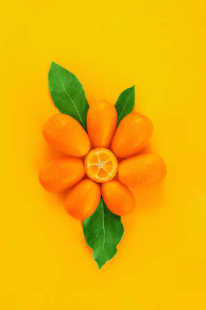 Flower made of fresh ripe kumquats with green leafs on the yellow background, bright compositionの写真素材