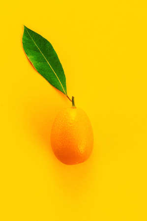 Fresh ripe kumquat with green leaf on the yellow background, bright compositionの写真素材
