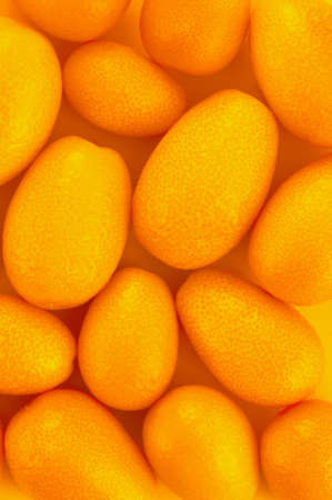 Bright yellow background with fresh ripe kumquats, monochrome compositionの写真素材