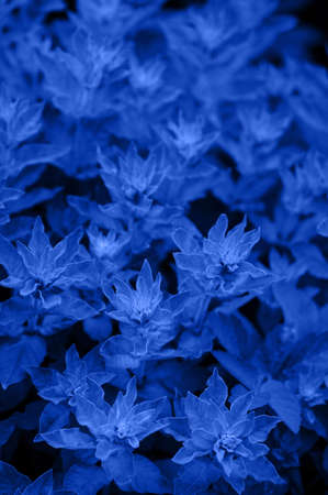 Bright blue fantasy background, copy spaceの写真素材