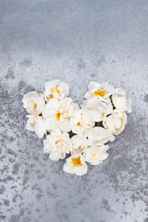 Heart of white vintage roses on the grey textured table, copy spaceの写真素材