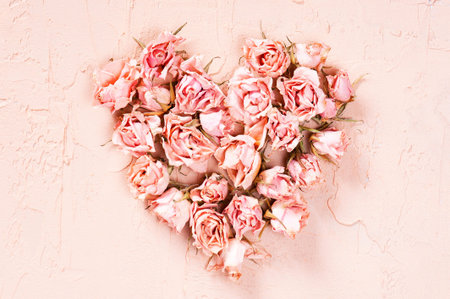 Heart of dry pink roses on the textured background in pastel colors
