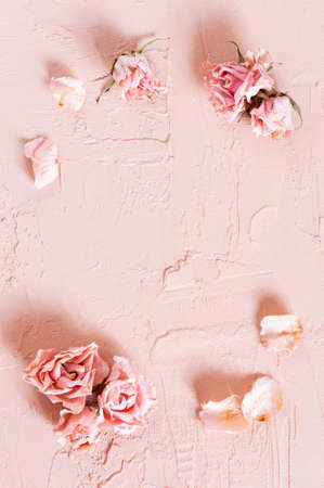 Tender textured pink background with dried roses, copy spaceの写真素材