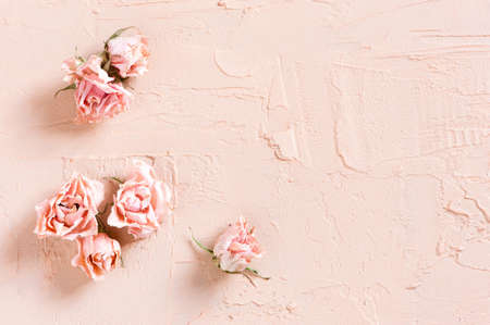 Tender textured pink background with dried roses, copy spaceの写真素材