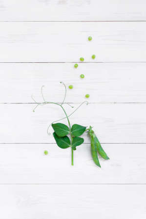 Minimalistic composition with green peas on the white wooden tableの写真素材