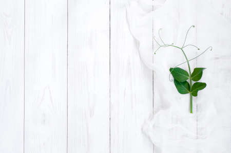 Background with green leaf and gauze on the white wooden tableの写真素材