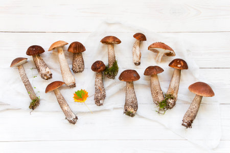 Background with autumn mushrooms on the textured white table, copy space