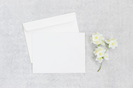 Grey background with blank postcard, envelope and flower