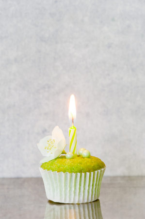 Small bright green cupcakes decorated with burning candle and fresh flower