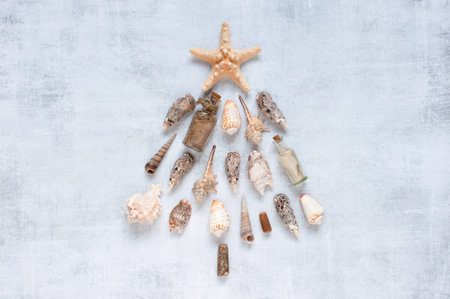 Festive Christmas tree made of natural sea shells, art composition