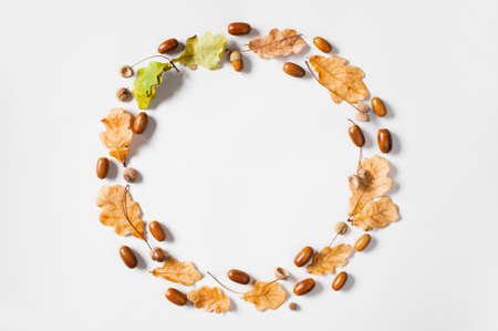 Wreath of autumn oak leaves and acorns on the light grey background, flat layの写真素材