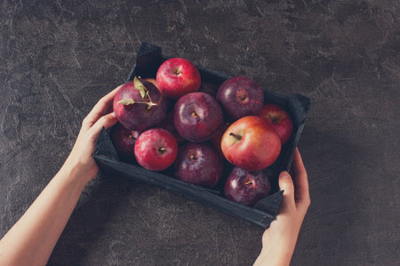 Woman holding the wooden box with fresh ripe apples, black textured table
