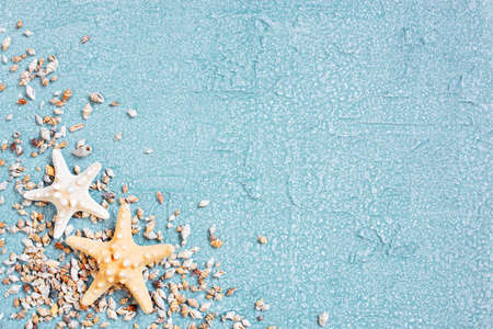 Light blue background with seashells and starfishes, beach backgroundの写真素材