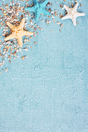 Light blue background with seashells and starfishes, beach backgroundの写真素材