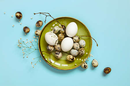 Chicken and quail easter eggs on the green plate decorated with branches and flowers, blue backgroundの写真素材