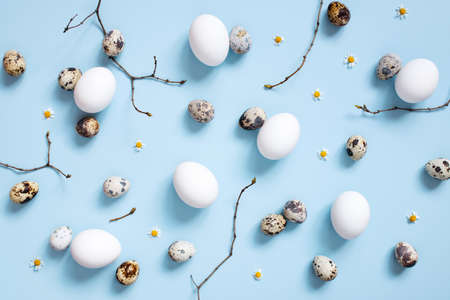 Pattern of chicken and quail easter eggs and branches on the blue background, top viewの写真素材