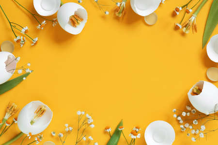 Bright yellow background with spring Easter flowers made of eggshell, creative compositionの写真素材