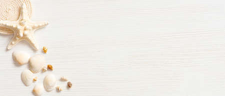 White textured wooden surface decorated with sea shells, copy spaceの写真素材