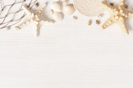 White textured wooden surface decorated with sea shells, copy space