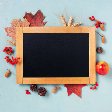 Black chalkboard on the blue table decorated with autumn leaves and berries, copy spaceの写真素材