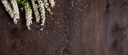 Dark brown wooden banner decorated with white flowers, copy spaceの写真素材