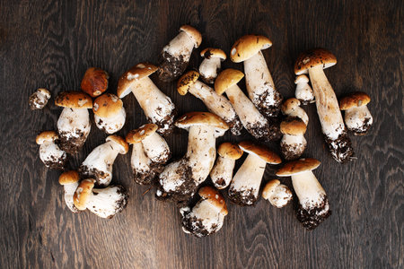 Fresh wild porcini on the wooden brown table, top view