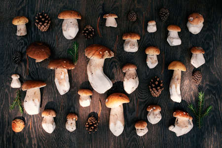 Fresh wild porcini on the wooden brown table, top viewの写真素材