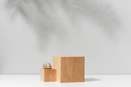 Natural background with wooden blocks, podium for cosmetics or food presentation, abstract sceneの写真素材