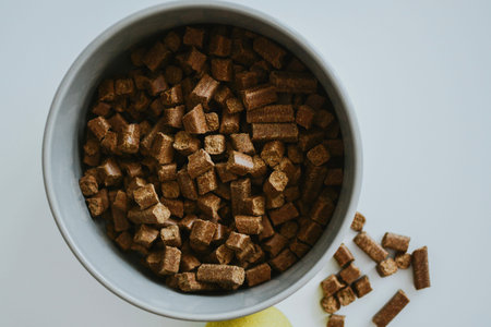 macro shooting of bowl with dog food and a ball for games next to it on a white background