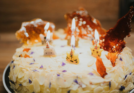 vanilla decorated birthday cake with lit animal candles for making wishesの写真素材