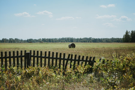 wooden fence and wrapped round hay bales on the field after harvest in Europe in summerの写真素材