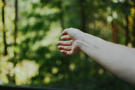 a girl stuck her hand out the open window during a trip in the forestの写真素材