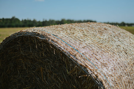macro shooting of wrapped round hay bales on the field after harvest in Europe in summer