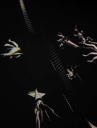 black and white volumetric objects and lines of different shapes and volumes on a black backgroundの写真素材