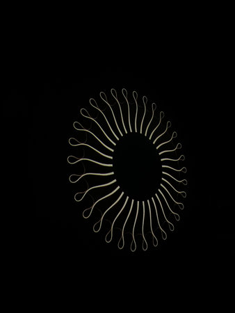 Circle with rotating lines. Abstract background