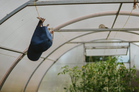 glasses, elastic band for a woman to help in the garden with plants in the background