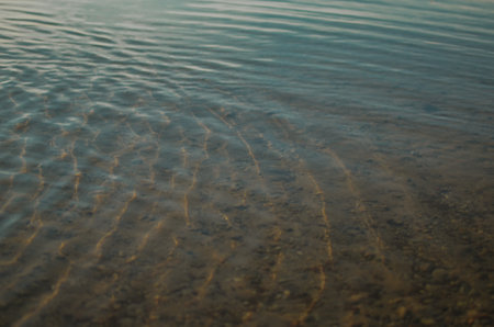 clear water of a lake with stones and golden sand in summer sunny weather in the eveningの写真素材