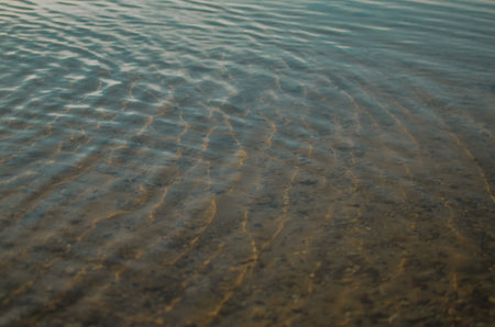clear water of a lake with stones and golden sand in summer sunny weather in the eveningの写真素材