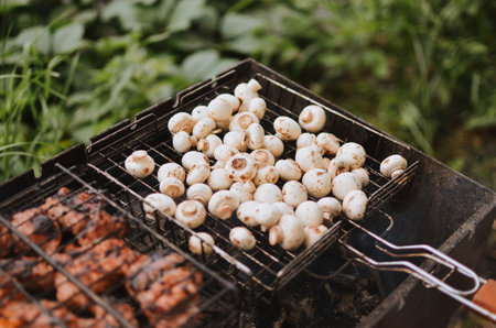 bbq meat and mushrooms on a grill in nature on a lake in summer in Estoniaの写真素材