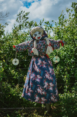 a bright scarecrow made of fabric in the garden to scare away birdsの写真素材