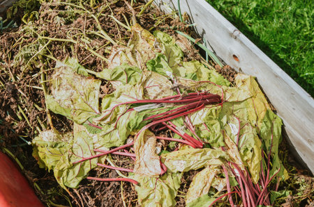 dry grass for compost for processing and fertilizer in the garden in summer